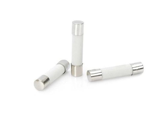 점화를 위한 높은 끊는 수용량 6.35x32mm 타임 딜레이 원통 모양 세라믹 관 신관 연결 10A 250V 6x30mm 느린 한번 불기